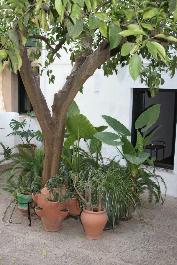 Las Jimenas Higuera De La Sierra  Εξωτερικό φωτογραφία