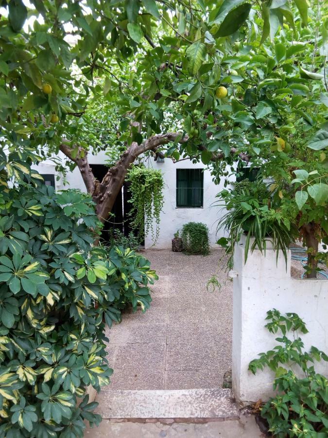 Las Jimenas Higuera De La Sierra  Εξωτερικό φωτογραφία